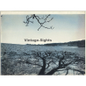 Jerri Bram (1942): Tree In Landscape II (Large Vintage Cyanotpye Photo ~1970s)