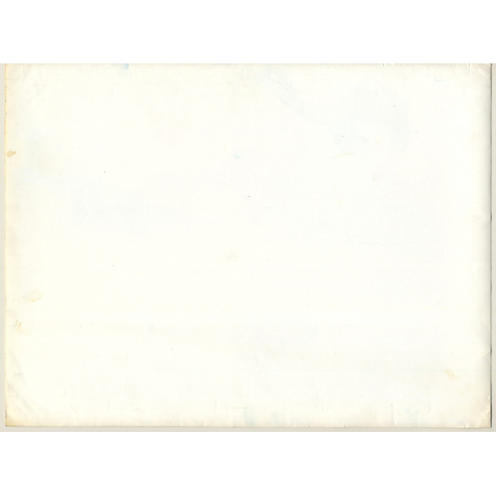 Jerri Bram (1942): Tree In Landscape II (Large Vintage Cyanotpye Photo ~1970s)