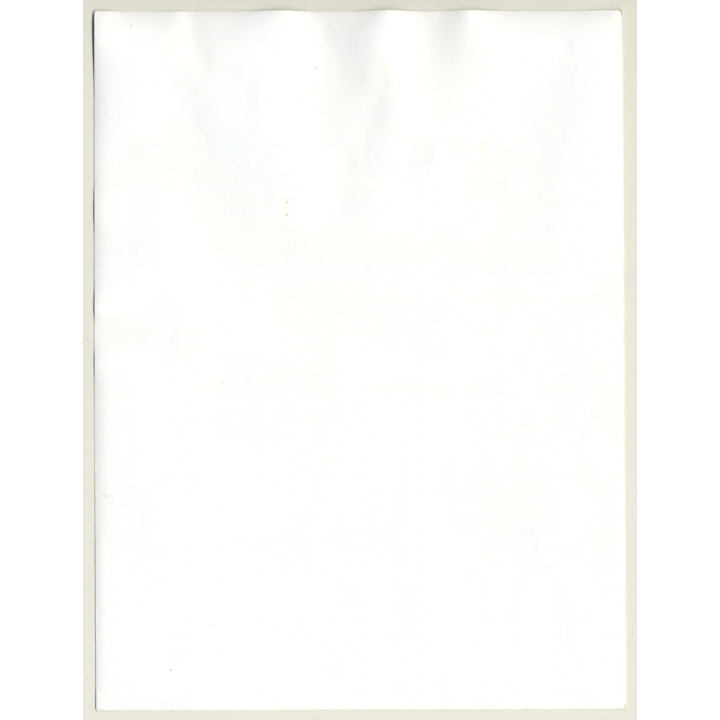 Semi Nude Woman On Chair / Nylons - Face Covered (Vintage Photo 1960s/1970s)