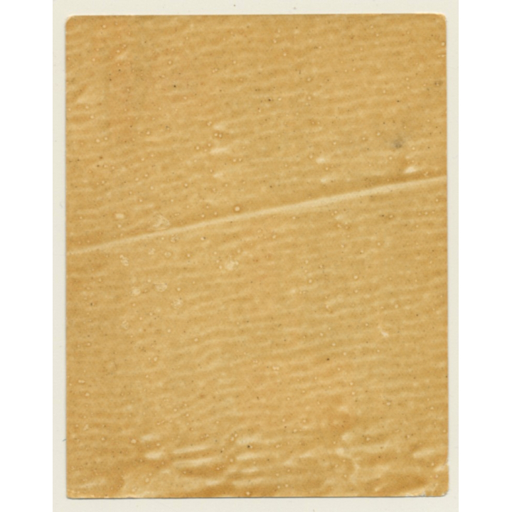 Budapest / Hungary: Park Hotel - Porter (Vintage Luggage Label)