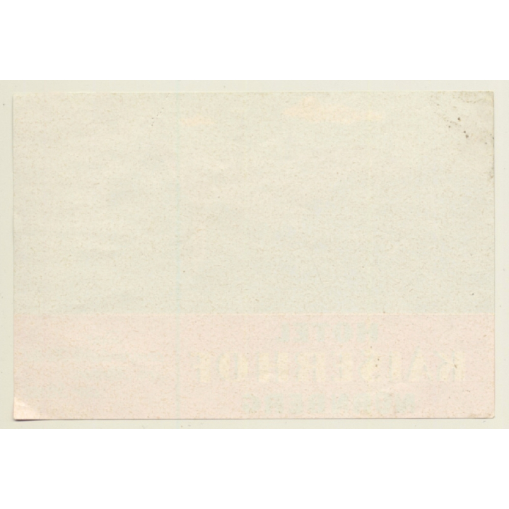 Nürnberg / Germany: Hotel Kaiserhof (Vintage Luggage Label)