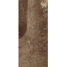 Lady In Victorian Dress Looks At Bark Scratches On Tree (Vintage Photo 1896)