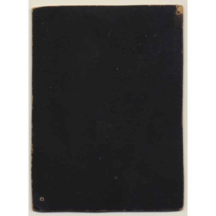 Lady In Victorian Dress Looks At Bark Scratches On Tree (Vintage Photo 1896)