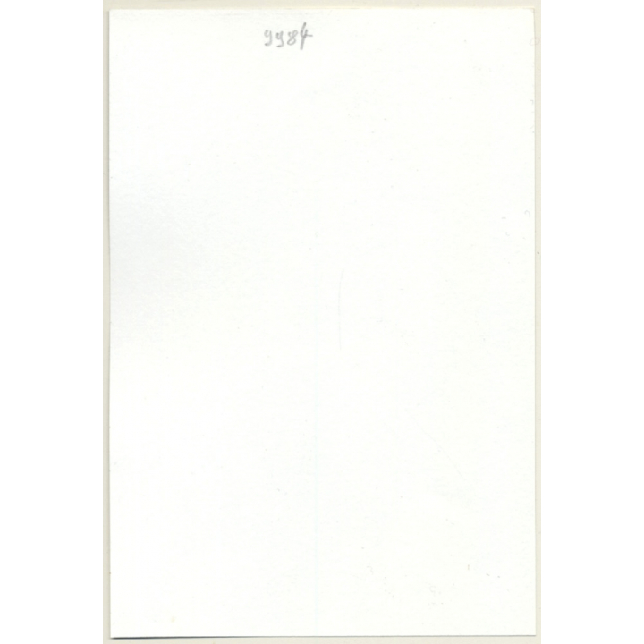 Natural Brunette Nude In Forest / Extreme Long Hair (Vintage Photo GDR ~1970s/1980s)