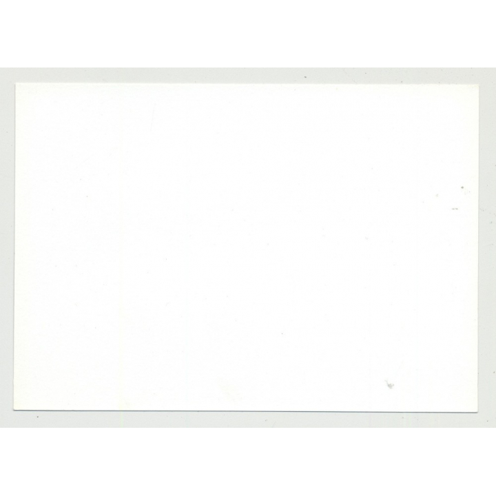 Slim Racy Female Lingers On Carpets / Suspenders - Bra (Vintage Amateur Photo DDR)