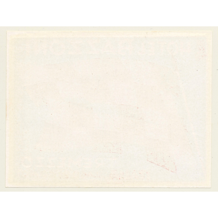 Tremezzo - Lago Di Como / Italy: New Hotel Bazzoni (Vintage Luggage Label ~1950s)