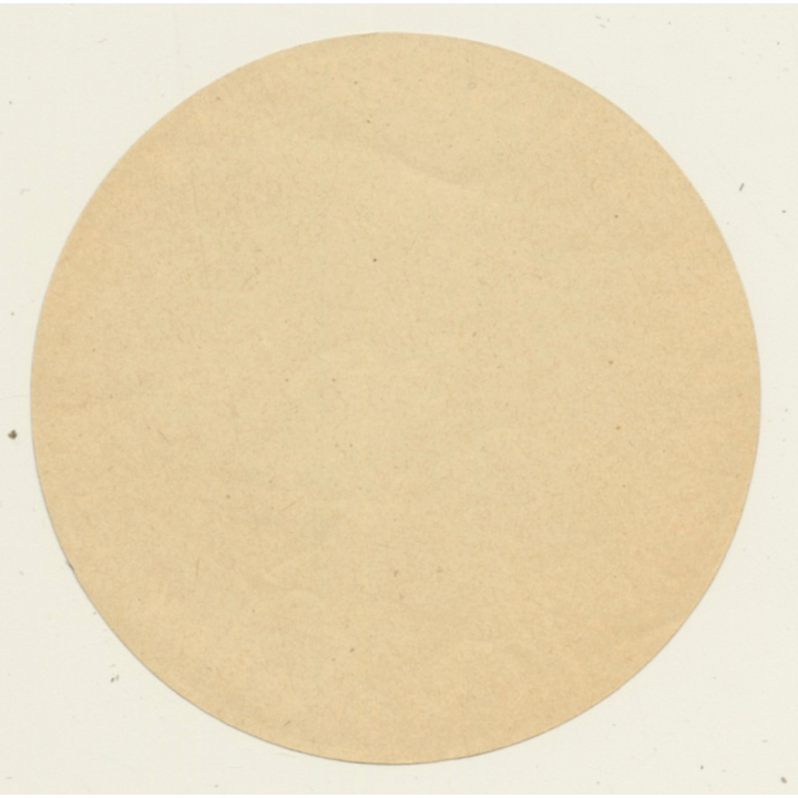 Chur / Switzerland: Hotel Steinbock - Coire (Vintage Luggage Label)