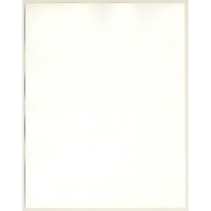 Semi Nude Brunette In Hot Pants*1 / Pearl Necklace - Outdoors (Large Vintage Photo 1980s)