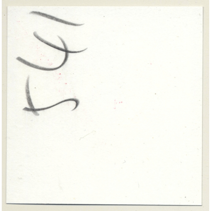 2 Racy Females In Catfight & Bondage Session*2 / Lacquer - BDSM (Vintage Contact Sheet Photo 1970s)