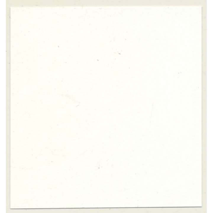 2 Racy Females In Catfight & Bondage Session*3 / Lacquer - BDSM (Vintage Contact Sheet Photo 1970s)