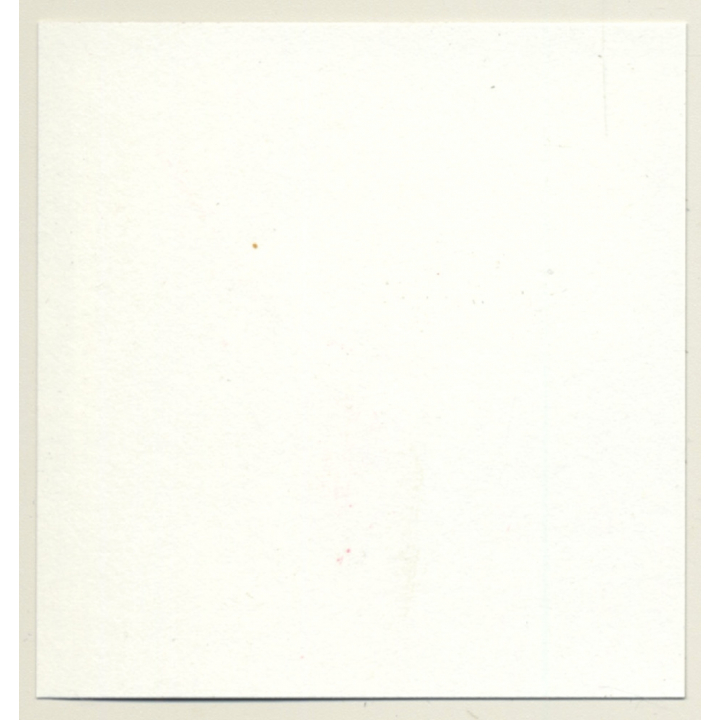 2 Racy Females In Catfight & Bondage Session*4 / Lacquer - BDSM (Vintage Contact Sheet Photo 1970s)