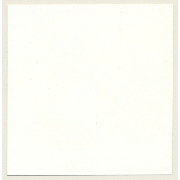 2 Racy Females In Catfight & Bondage Session*6 / Lacquer - BDSM (Vintage Contact Sheet Photo 1970s)