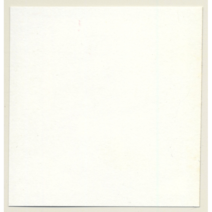 2 Racy Females In Catfight & Bondage Session*8 / Lacquer - BDSM (Vintage Contact Sheet Photo 1970s)