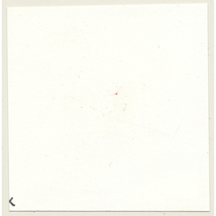 2 Racy Females In Catfight & Bondage Session*9 / Lacquer - BDSM (Vintage Contact Sheet Photo 1970s)