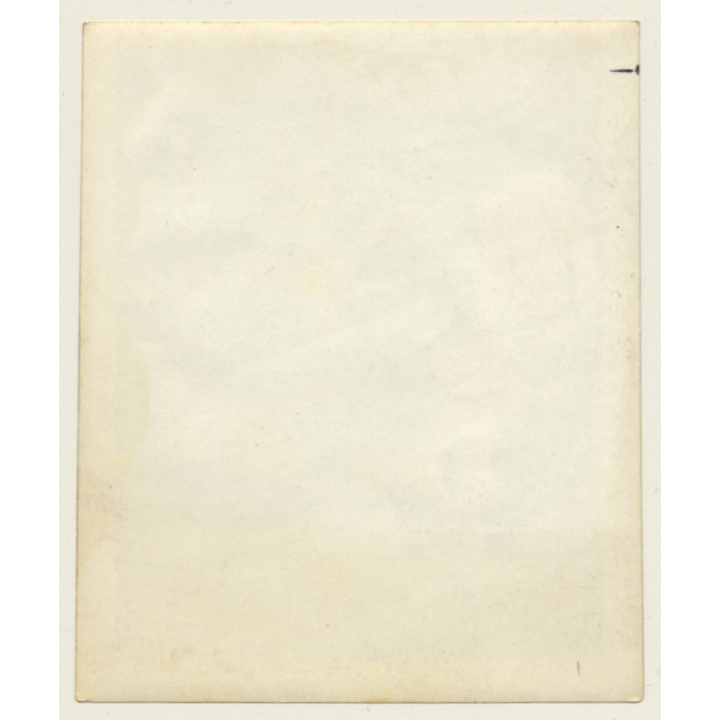 2 Semi Nude Mistresses & Maid In Pillory*1 / BDSM (Vintage Photo ~1950s/1960s)