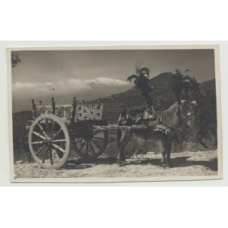 Taormina - Sicily: Donkey With Cart (Vintage Photo PC B/W)