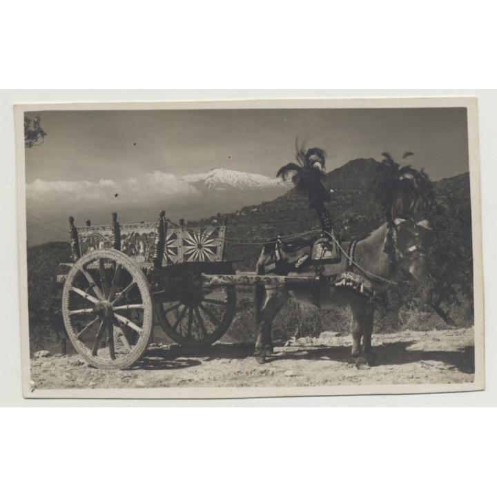 Taormina - Sicily: Donkey With Cart (Vintage Photo PC B/W)