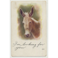 Portrait Of Donkey's Head / I'm Looking For You (Vintage Photo PC)