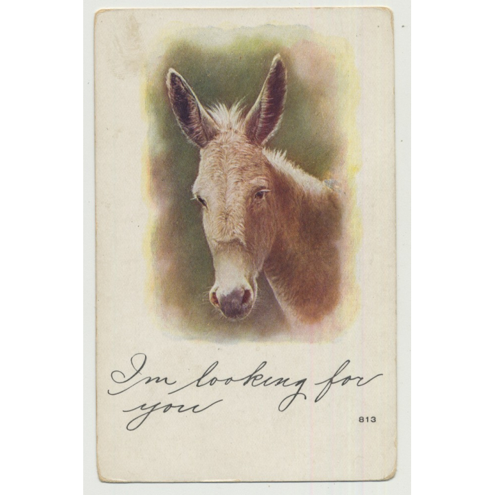 Portrait Of Donkey's Head / I'm Looking For You (Vintage Photo PC)
