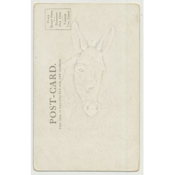 Portrait Of Donkey's Head / I'm Looking For You (Vintage Photo PC)