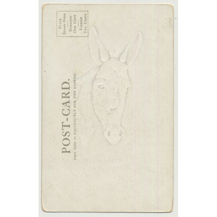 Portrait Of Donkey's Head / I'm Looking For You (Vintage Photo PC)