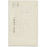 Portrait Of Donkey's Head / I'm Looking For You (Vintage Photo PC)