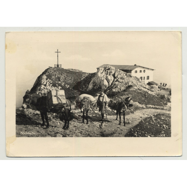 Hochfelln / Bavaria: Shepherd With Donkeys (Vintage Photo PC 1951)