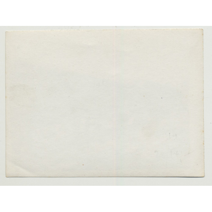 2 Camels & Donkey In Front Of Bedouin Town (Vintage Photo B/W)