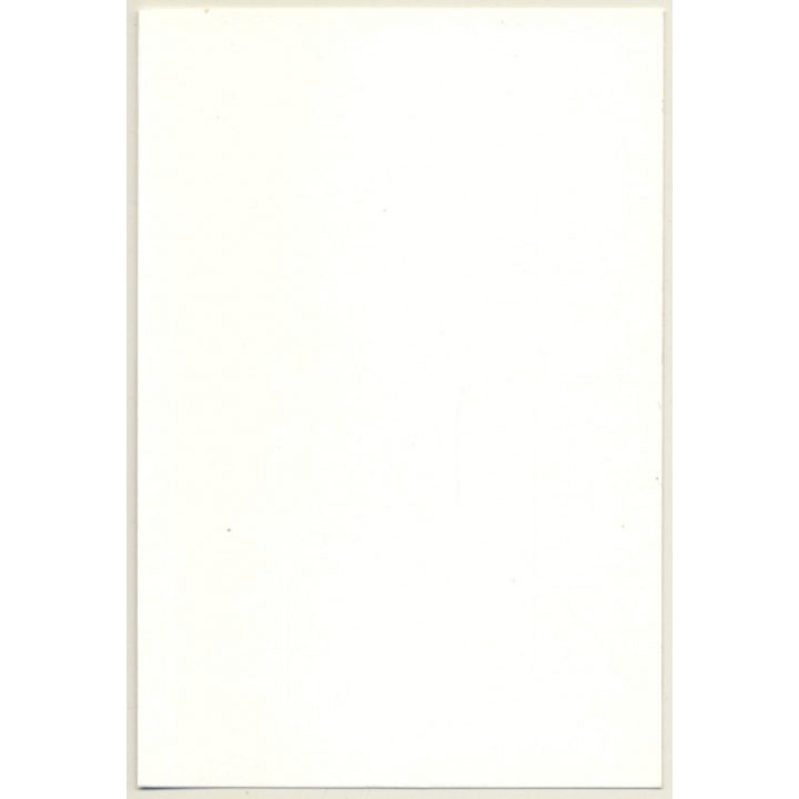 Lascivious Brunette Semi Nude Takes Off Bra / Wallpaper (Vintage Photo GDR ~1980s)