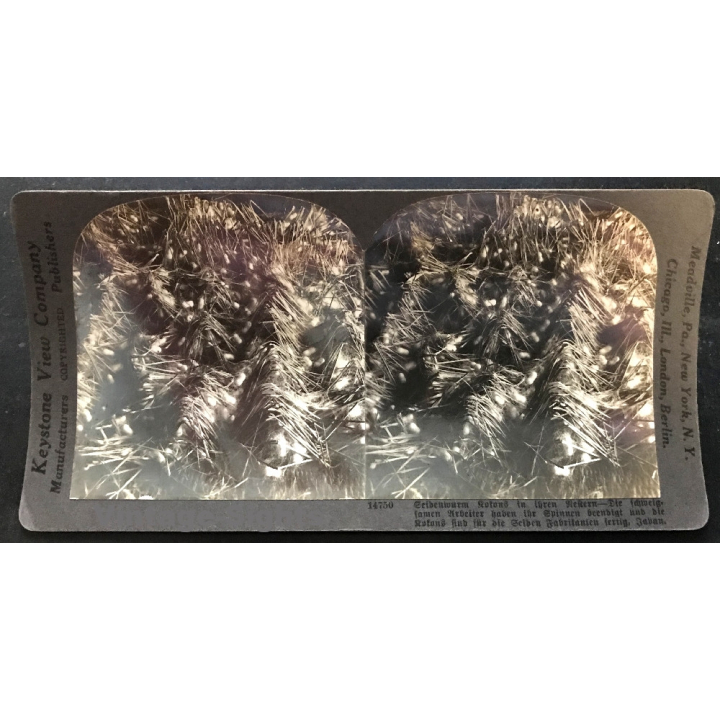 Keystone View Company 14750: Silkworm Cocoons (Vintage Stereo Photo ~1900/1920)