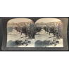 Keystone View Company 16745: Olive Harvest Tulare County (Vintage Stereo Photo ~1900/1920)