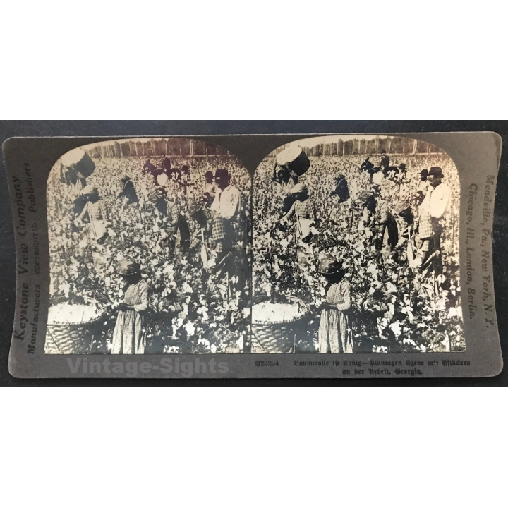 Keystone View Company B23234: Cotton Harvest - Georgia (Vintage Stereo Photo ~1900/1920)