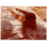 R.Folco: Nude Woman Suntanning / Newspaper - Glasses (Vintage Photo France 1980s)