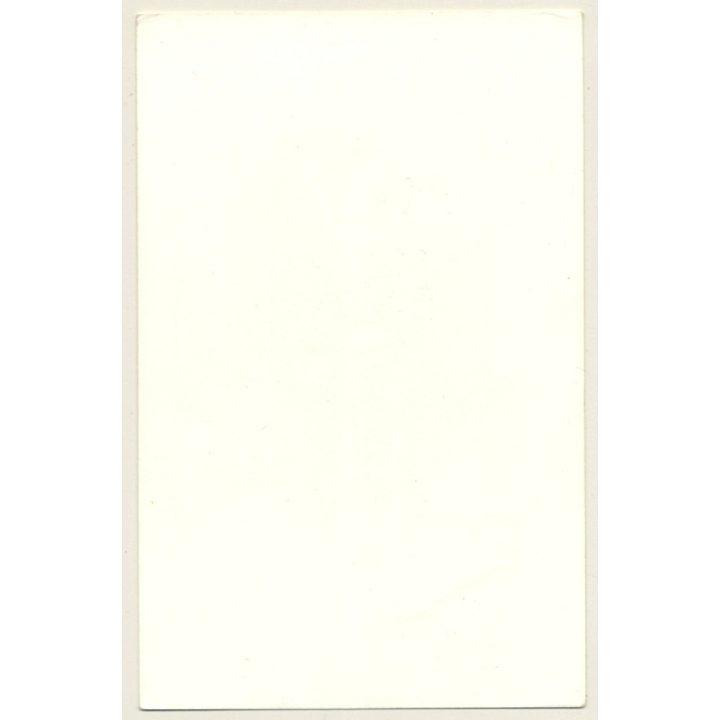 Slim Busty Semi Nude In Bikini Panties*2 (Vintage Photo Germany ~1980s)