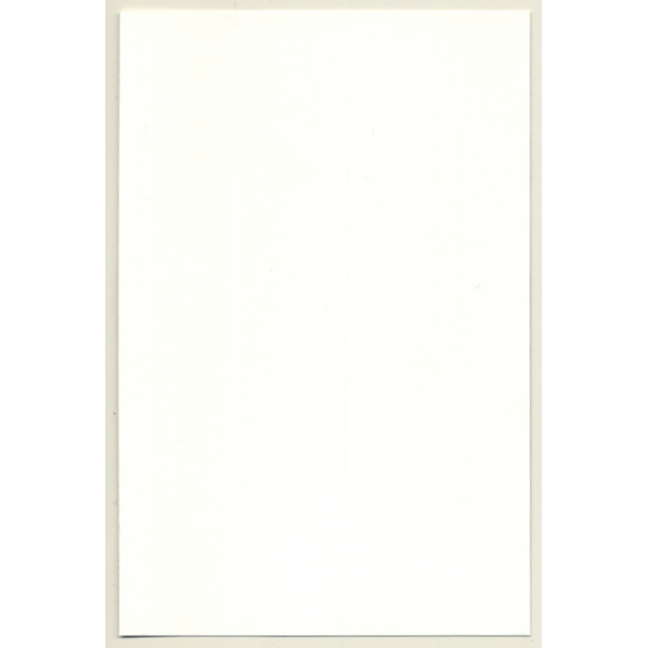 Lascivious Brunette Semi Nude Takes Off Bra*2 / Wallpaper (Vintage Photo GDR ~1980s)