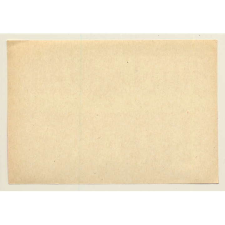 Milano / Italy: Hotel Du Nord (Vintage Luggage Label)