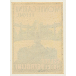 Montecatini Terme / Italy: Select Hotel Petrolini (Vintage Luggage Label ~1930s/1940s)