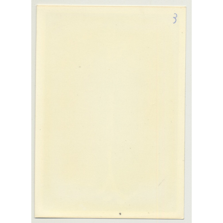 Series Of East German Fashion Photos 9: 1960s/1970s (Vintage Photo DDR)