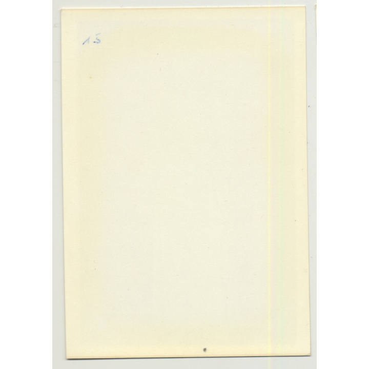 Series Of West German Fashion Photos 13: 1960s/1970s (Vintage Advertisement Photo)