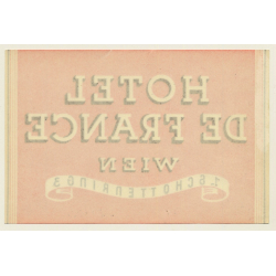 Vienna - Wien / Austria: Hotel De France (Vintage Luggage Label)