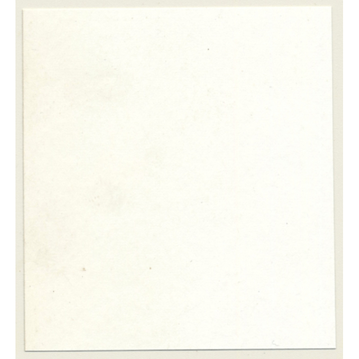 Tantalizing Darkhaired Semi Nude Flashing Boobs*3 (Vintage Contact Sheet Photo 1970s)