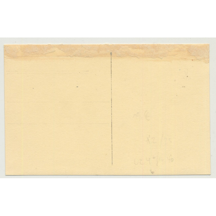 Little Boy Gets His 1. Teddy Bear At Family Picnic (Vintage Gelatin Silver Photo)