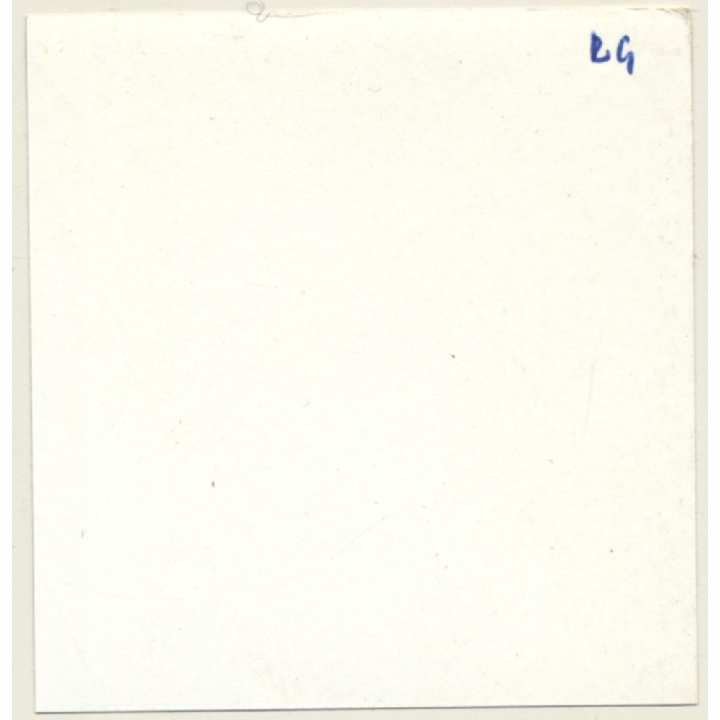 Tantalizing Darkhaired Semi Nude Flashing Boobs*9 (Vintage Contact Sheet Photo 1970s)