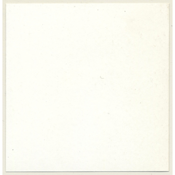 Tantalizing Darkhaired Semi Nude Flashing Boobs*10 (Vintage Contact Sheet Photo 1970s)