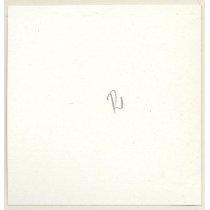 Tantalizing Darkhaired Semi Nude Flashing Boobs*11 (Vintage Contact Sheet Photo 1970s)