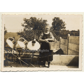 Belgium: Older Female & Milk Cans On Dray / Dairy Farmer (Vintage Photo 1930s)
