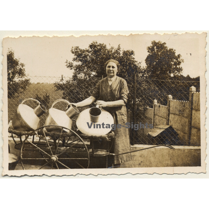 Belgium: Older Female & Milk Cans On Dray*2 / Dairy Farmer (Vintage Photo 1930s)
