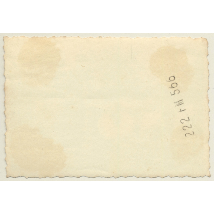 Belgium: Older Female & Milk Cans On Dray*2 / Dairy Farmer (Vintage Photo 1930s)