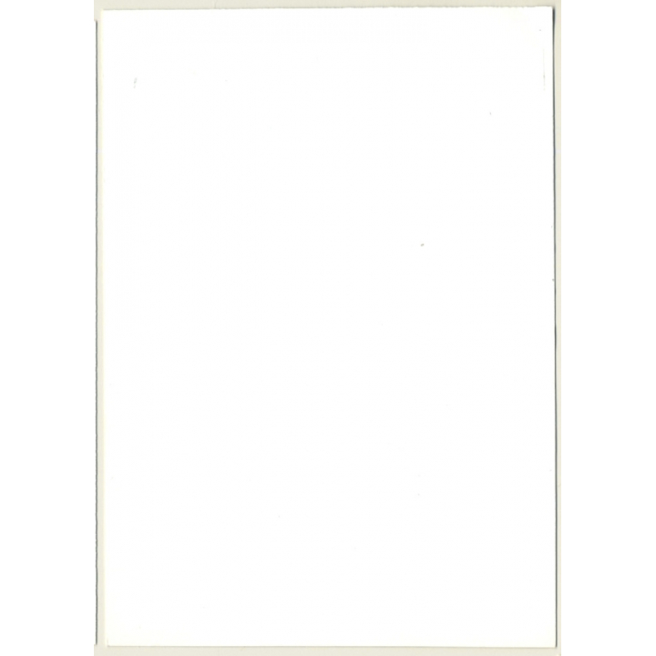 Pretty Natural Nude Curlyhead*2 / Suspenders - Boobs  (Vintage Photo GDR ~1980s)