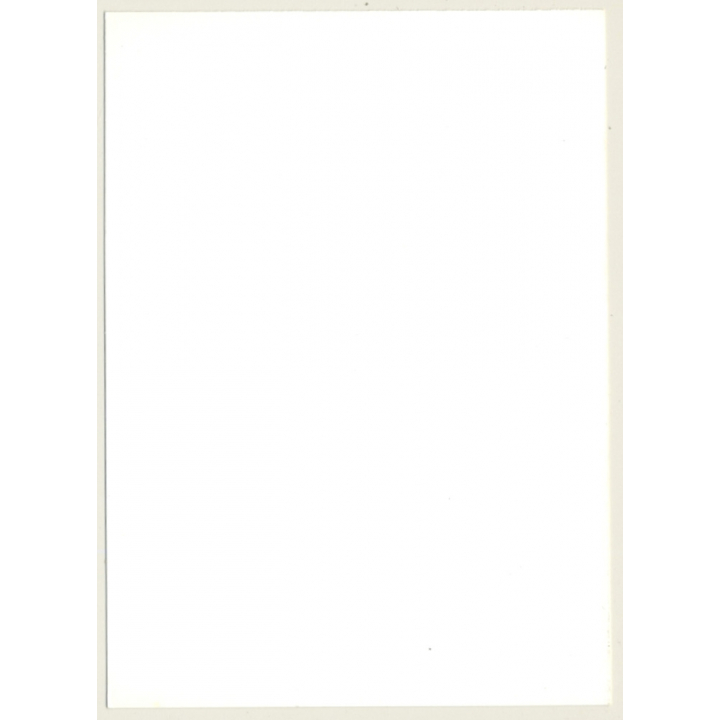 Pretty Natural Nude Curlyhead*3 / Fishnets - Boobs  (Vintage Photo GDR ~1980s)